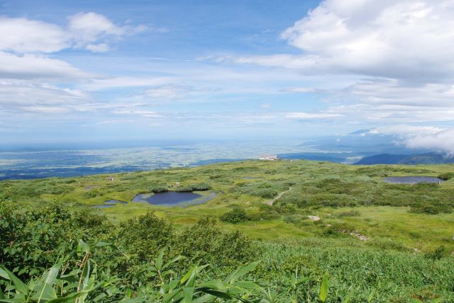 月山八合目・弥陀ヶ原湿原の写真ページ