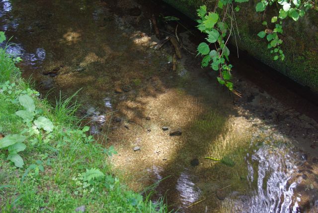 歩道脇を流れるきれいな水の水路。