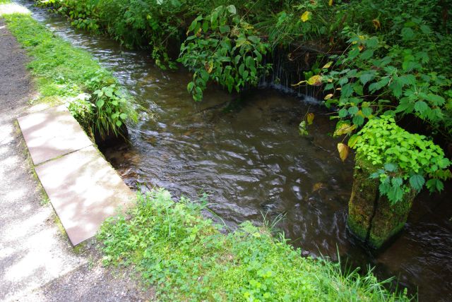 きれいな水の水路。