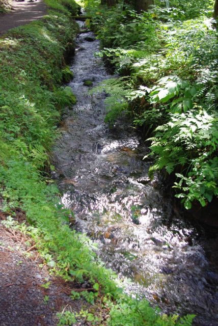 自然の中の水路。