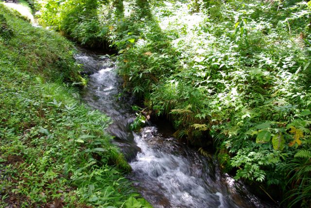 自然の中の水路。