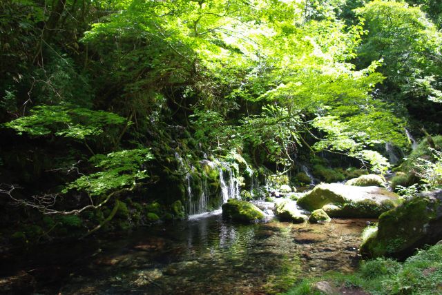 緑の中の幻想的な滝。