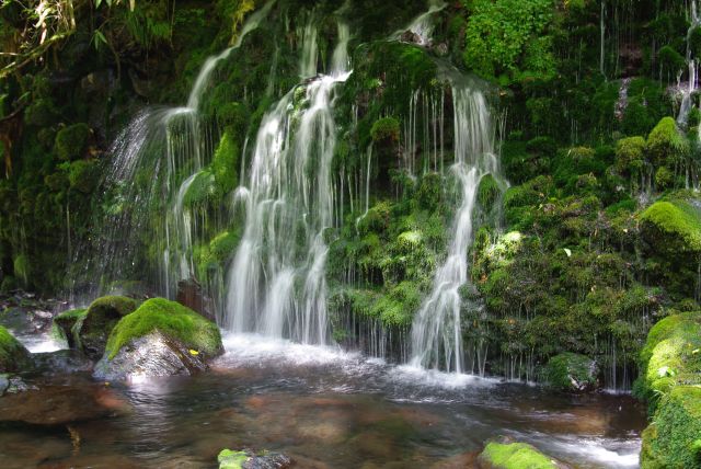 沢山の細い軌跡を作るきれいな滝。