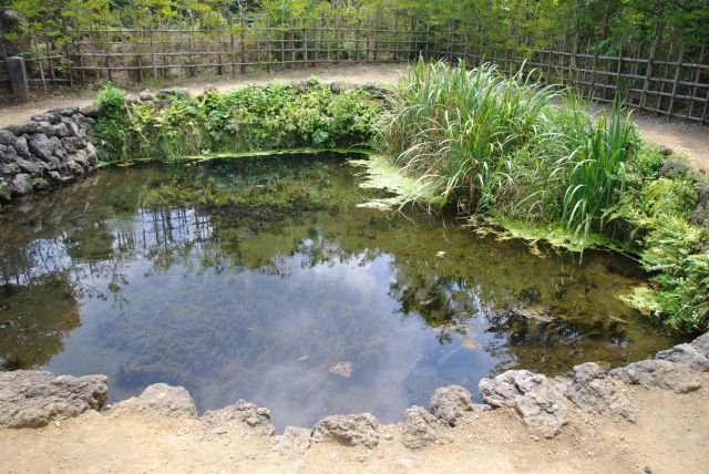 西側、川沿いの脇道を入ると丸い銚子池。