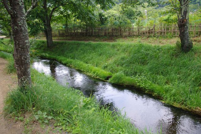 緑に囲まれた川沿いの心地よい道。