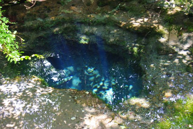 透明できれいな青く光る水。魚が泳いでる姿も見えました。