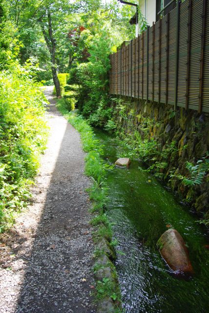 流れる小川も風情がある。