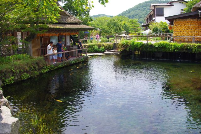 鯉や鮎などが泳ぐ中池。