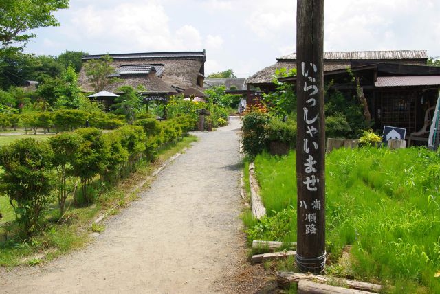 裏手には八海菖蒲池公園。