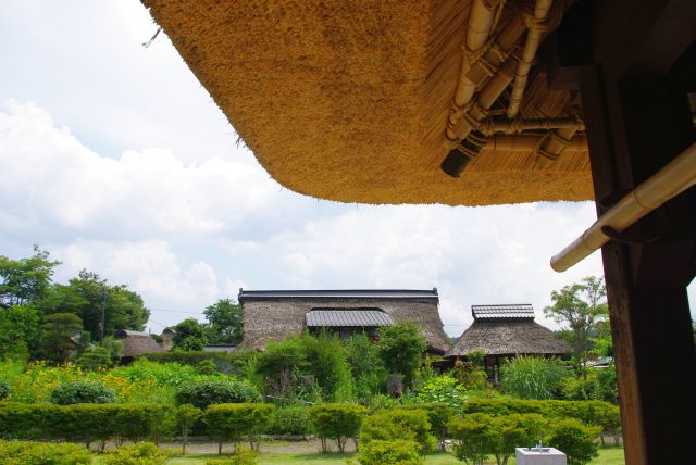 茅葺屋根。向こうにも茅葺屋根の建物が並びます。