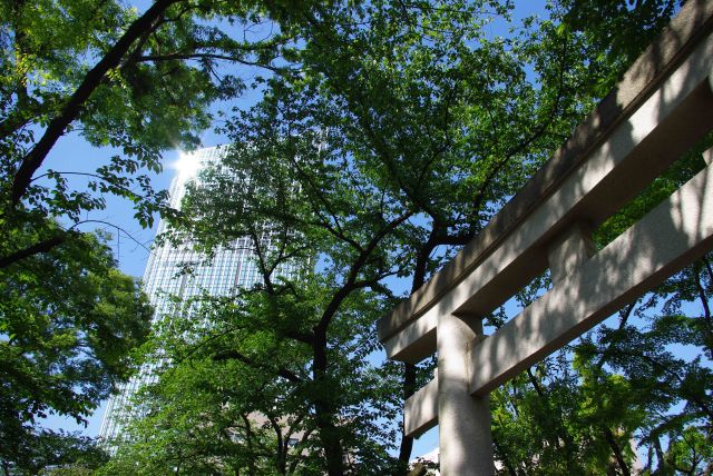 愛宕神社から虎ノ門ヒルズ。