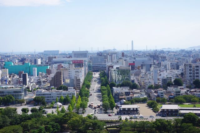 高さがあり眺めが良い。姫路駅へと続く大手前通り。