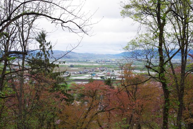 旭川北部ののどかな風景を望む。