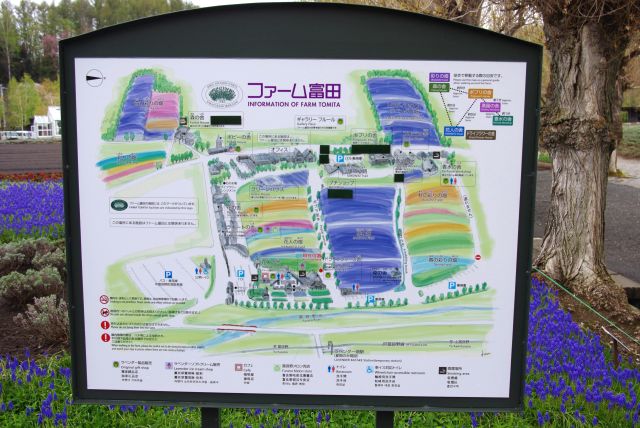 ファーム富田はラベンダーをはじめとした広大な敷地の農園。