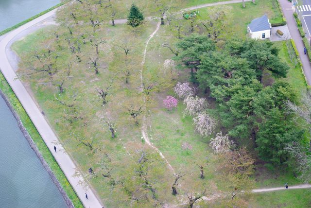 直前に桜の時期が終わって残念。