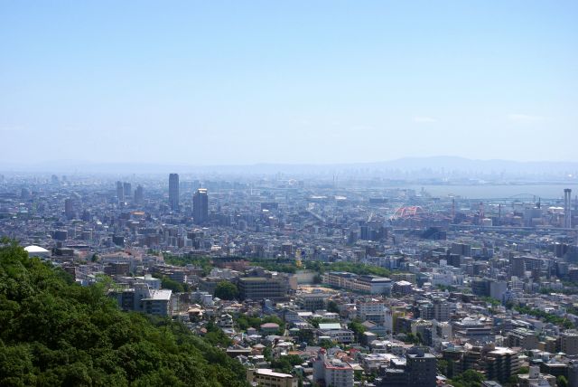 ハーブ園に入らずロープウェイで戻ります。再び眼下に開放的な風景。