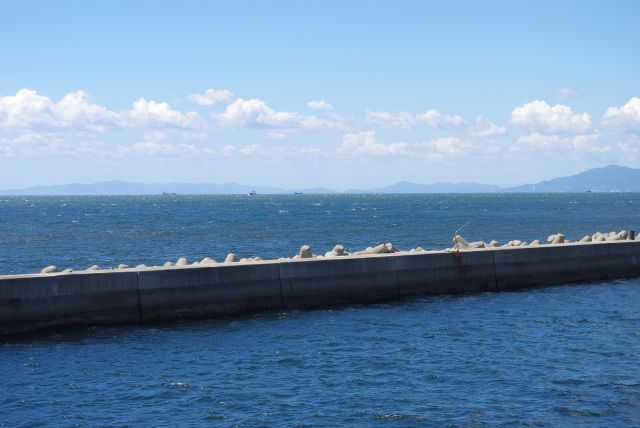 港の外は大阪湾の海が広がる。開放的で気持ち良い。