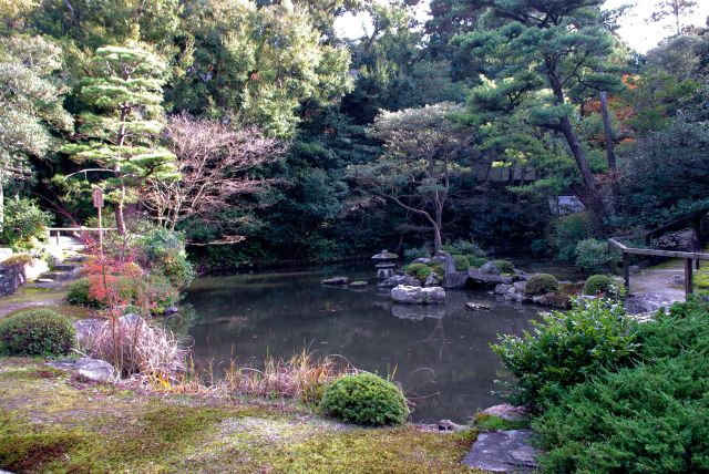 仮の入口から方丈庭園へ。御影堂の覆いの影になっています。