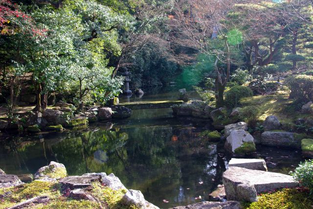 静かな庭園です。