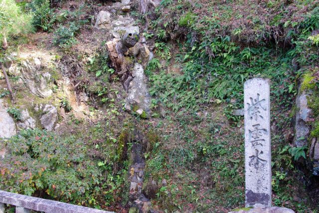 墓地を抜け勢至堂付近に湧き水の紫雲水。