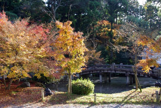 宝仏殿前の池、ここにも紅葉。