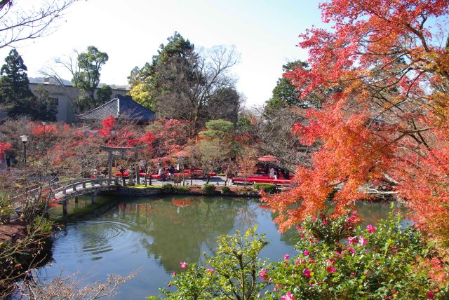 永観堂（禅林寺）の紅葉の写真ページへ