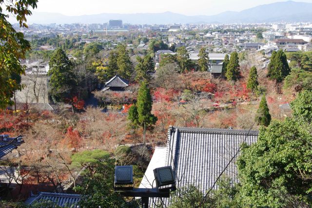 境内の紅葉を見下ろす。