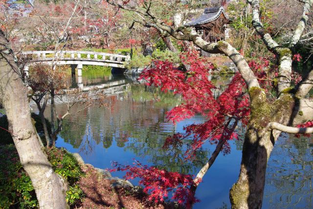 池の中央には弁天社。