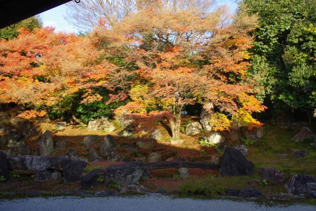 北書院に２つ目の庭園、伏見城から移築された名勝の北庭。