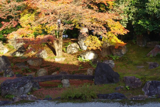 移築時に池泉回遊式から枯池泉座視式に改め、水はない。