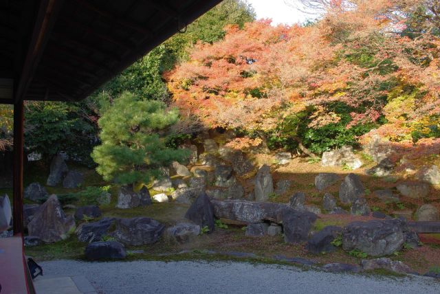 圓徳院の紅葉の写真ページ