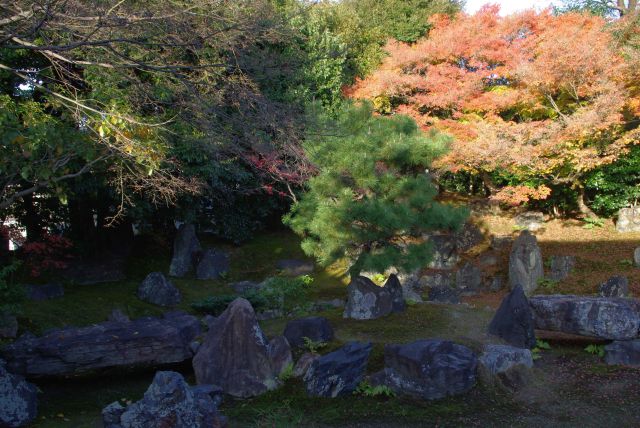 庭園に配置された岩々。