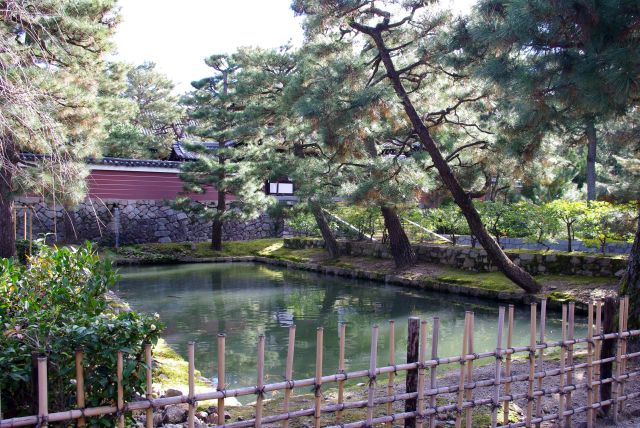 茶碑横の洗鉢池。