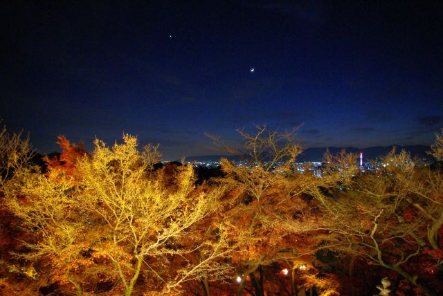 街の夜景や夜空も美しい。