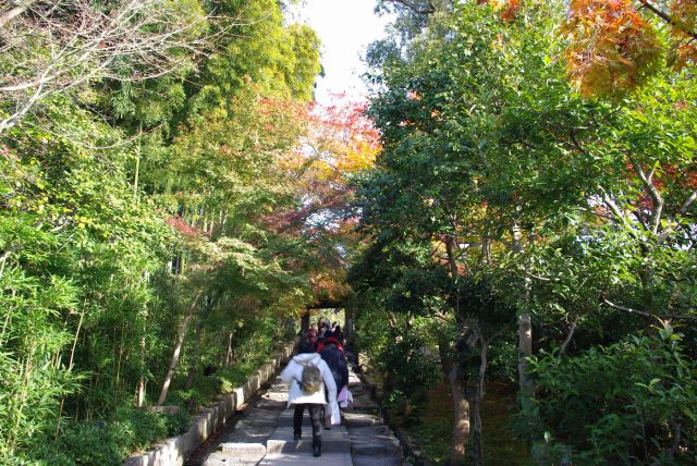 ねねの道から台所坂を上ります。