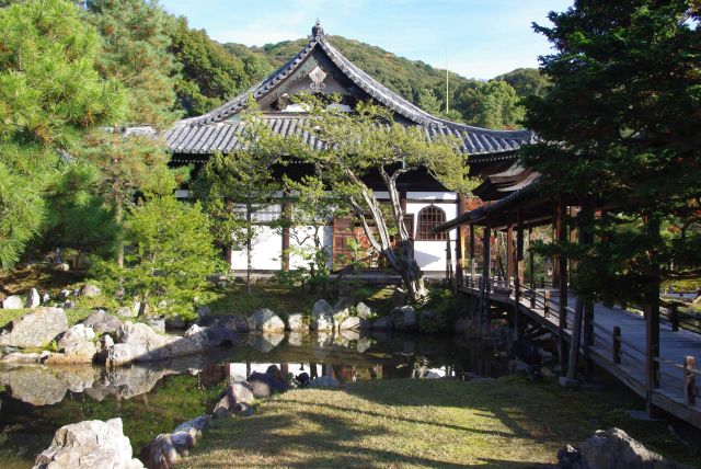 高台寺の紅葉の写真ページ