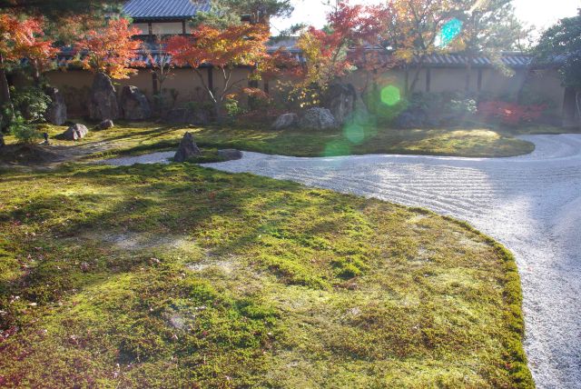 苔や紅葉が美しい庭。