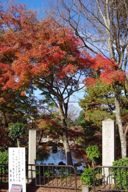 池の南側より。