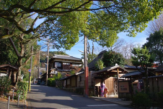 公園を抜けると京都らしい風景。