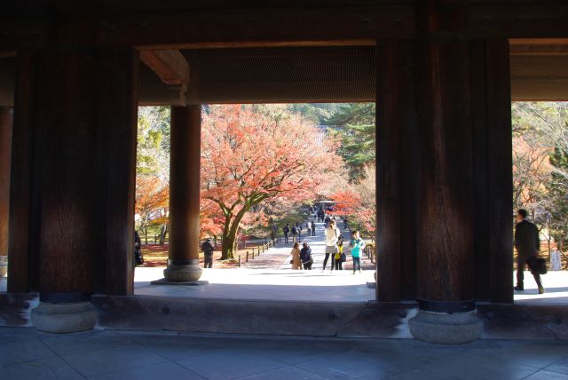 門の先にも紅葉が広がる。