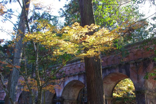 水路閣と紅葉。