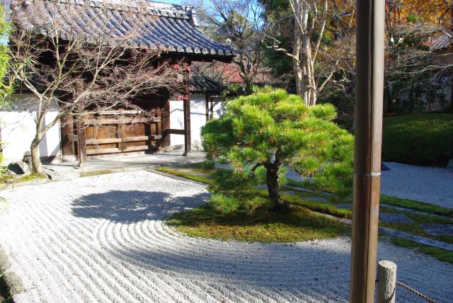 枯山水の方丈前庭（東庭）へ。