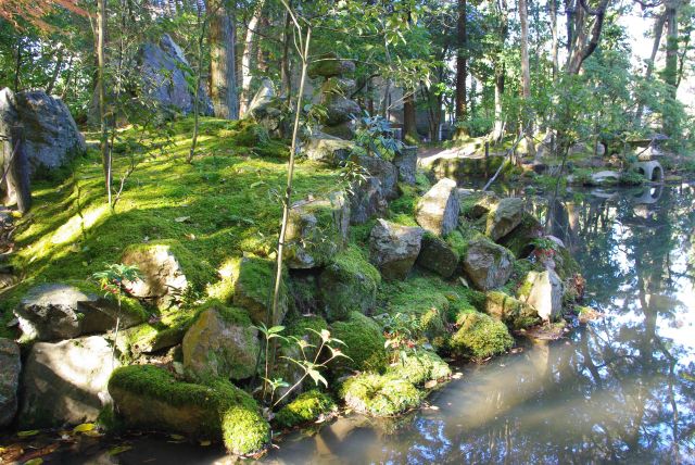 木陰の静かな庭園風景。