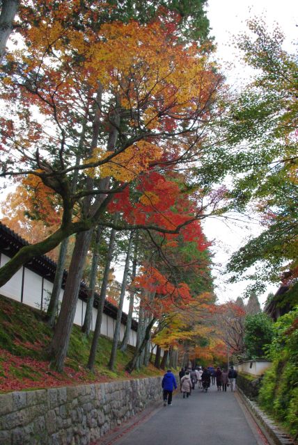 境内に沿う高木の紅葉。