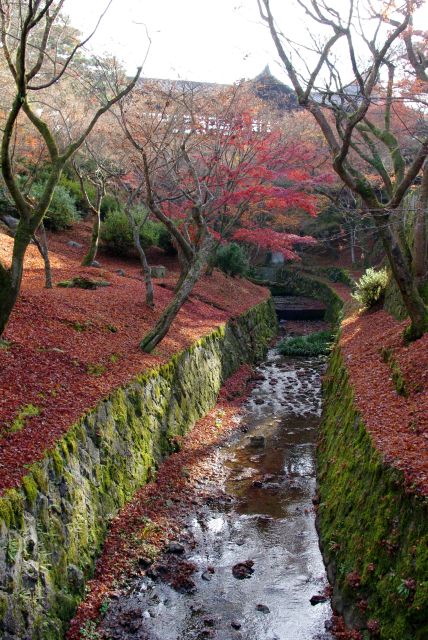 通天橋側。地面も紅葉の落葉で埋め尽くされる。