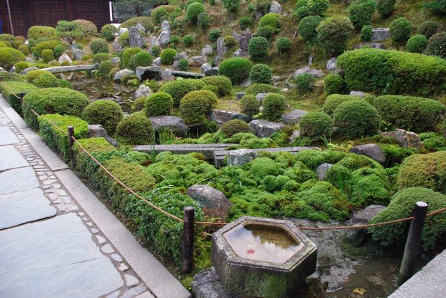 広場にある庭園。