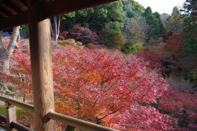 左側の谷に紅葉や木々。