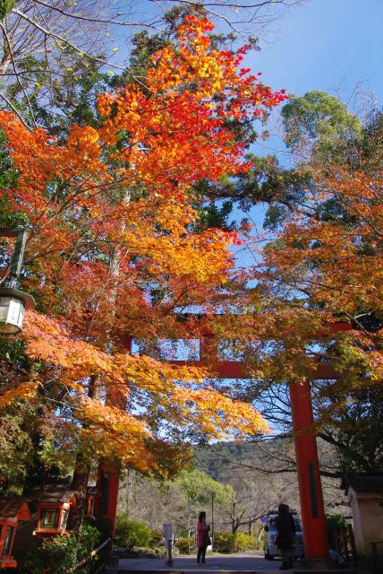 東北門と紅葉。