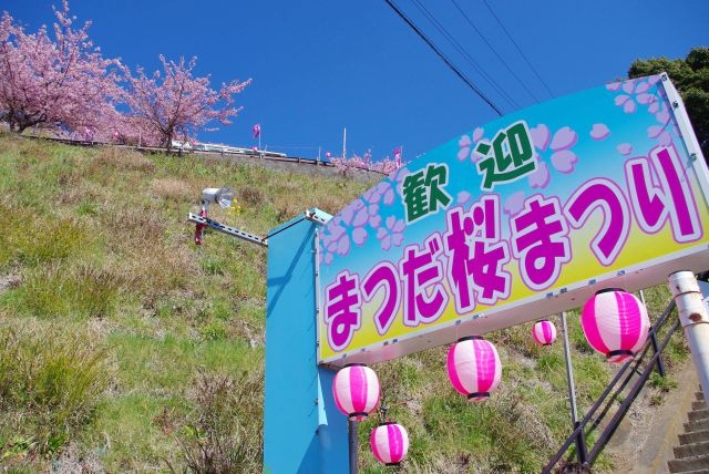 東名高速をくぐり松田山へ。