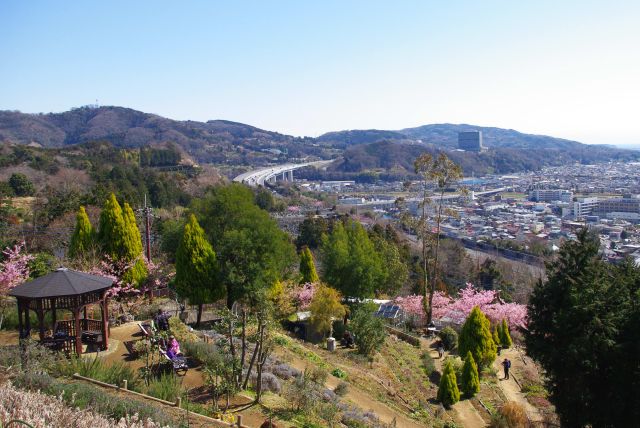 松田山ハーブガーデンへ、東名高速大井松田IC付近の開放的な風景。